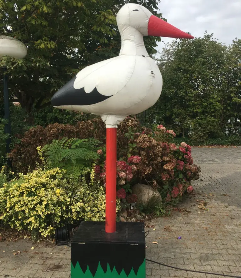 Ooievaar